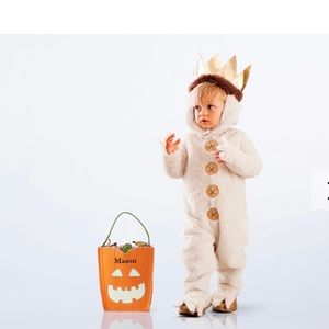 Worn once Toddler PB kids costume